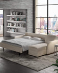 The Pearson Comfort Sleeper by American Leather